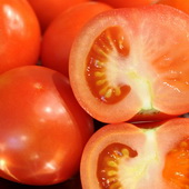 pomidoras1